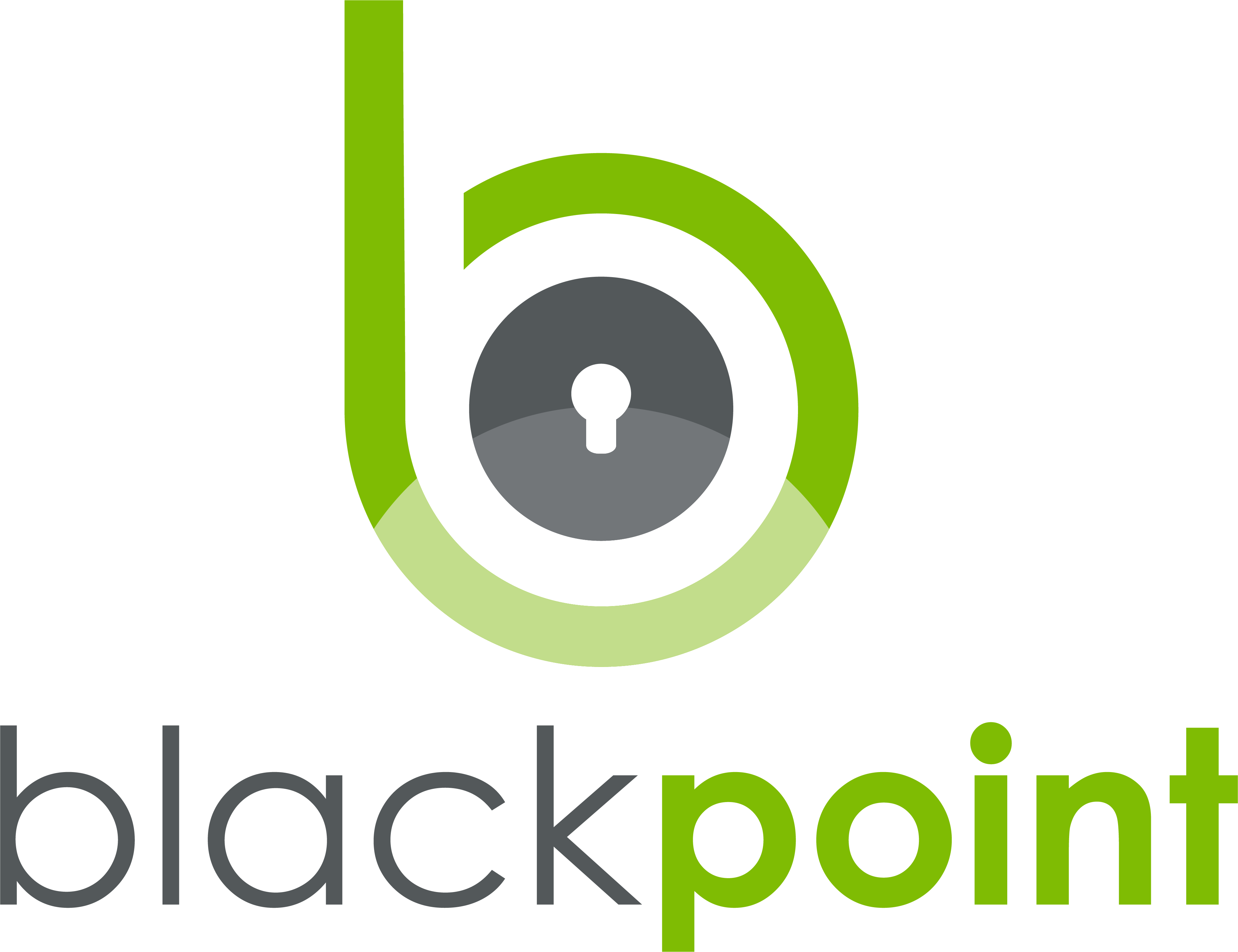 Blackpoint Cyber logo