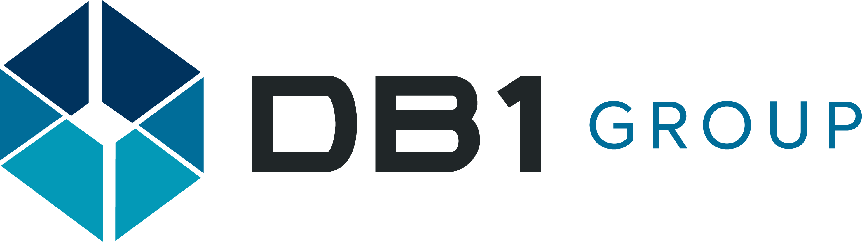 DB1 Group logo