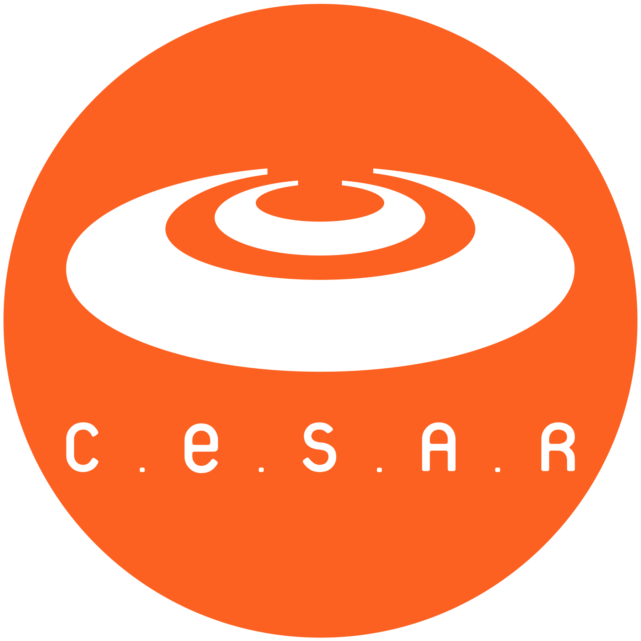 CESAR logo