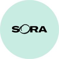 Sora Schools  logo